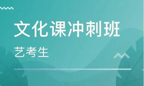 藝考文化課分?jǐn)?shù)提高