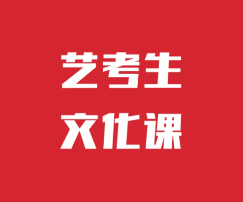 高三藝考生文化課輔導(dǎo)學(xué)校