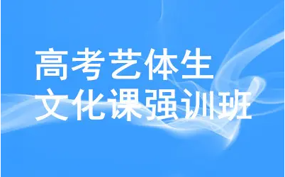 高三藝考生文化課集訓(xùn)學(xué)校