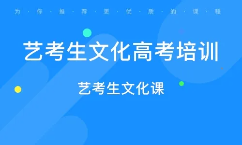 高考藝考文化課培訓機構(gòu)